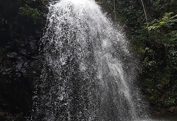 梅岭国家级风景名胜区第 61 张图片