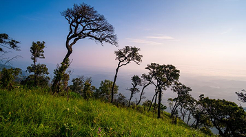 广东中山翠亨国家湿地公园