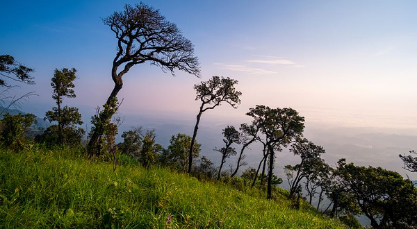 广东中山翠亨国家湿地公园