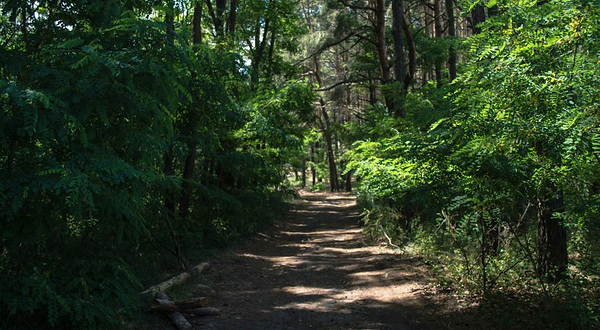 怡保自然生态园