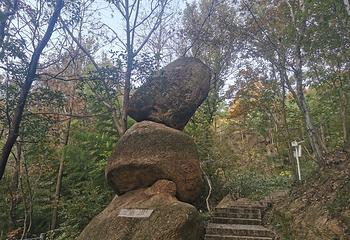大龙山乌龙溪景区第 23 张图片