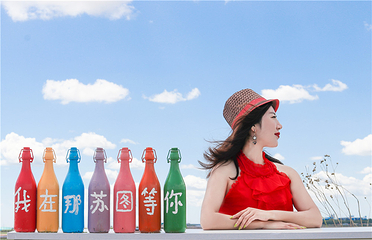 天保那苏图草原旅游度假区第 37 张图片
