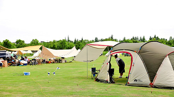 王贰狗的露营地