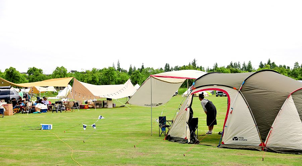 王贰狗的露营地