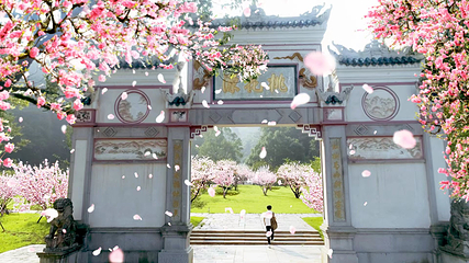 桃花源第 73 张图片