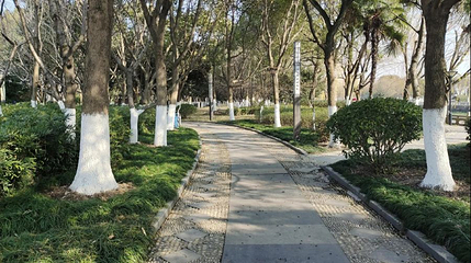 洛塘河公园第 1 张图片