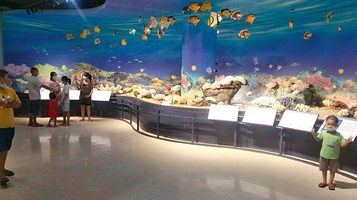 贵港自然博物馆