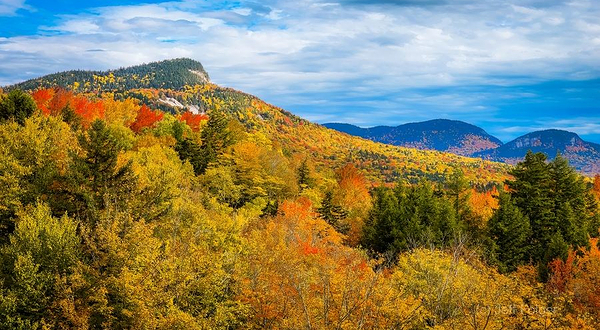 Sugar Hill Overlook