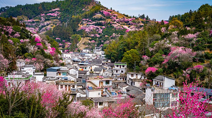 卖花渔村第 1 张图片