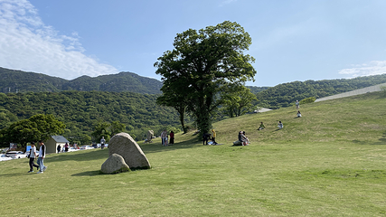 朱家尖大青山景区第 9 张图片