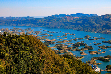 仙岛湖旅游度假区第 8 张图片