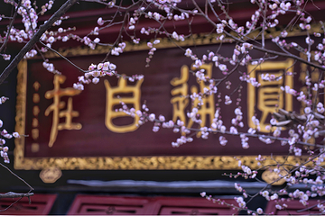 青羊宫第 41 张图片