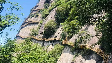 红河谷森林公园第 23 张图片
