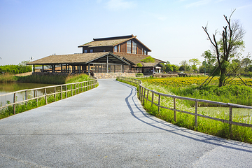 杭州湾国家湿地公园第 3 张图片