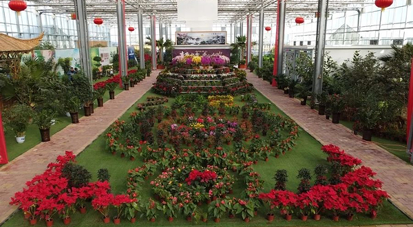 靖远县水岸三合旅游景区