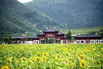 迁西县吉祥凤凰山第 46 张图片