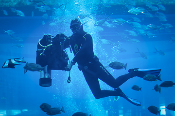 三亚亚特兰蒂斯失落的空间水族馆第 169 张图片
