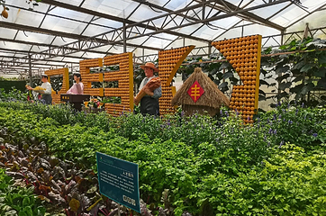 寿光蔬菜高科技示范园第 2 张图片