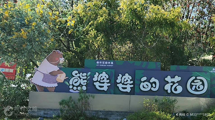熊婆婆的花园第 3 张图片