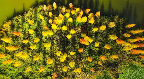 宝丰半岛湿地公园