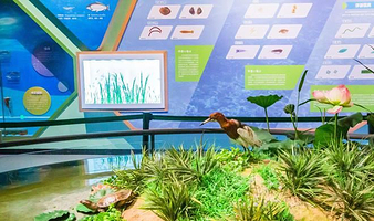 衡水湖湿地生态馆