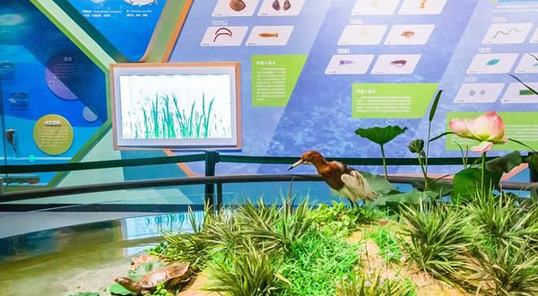 衡水湖湿地生态馆