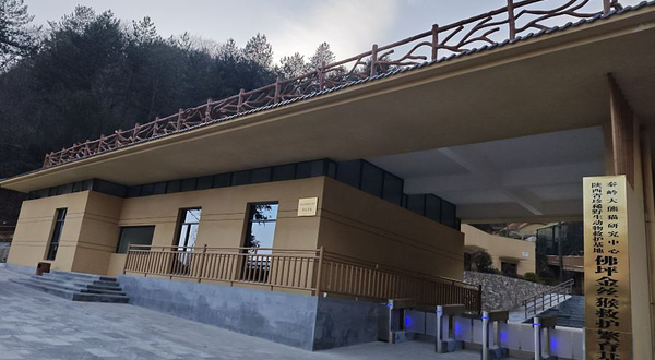 秦岭金丝猴佛坪救护繁育研究基地