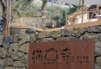 西湖风景名胜区第 674 张图片
