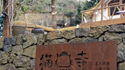 猫猫寺MIAOSY第 1 张图片