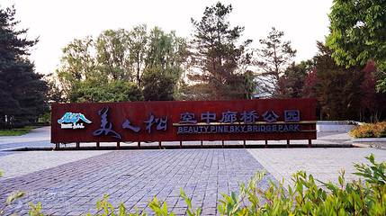 美人松空中廊桥公园第 4 张图片