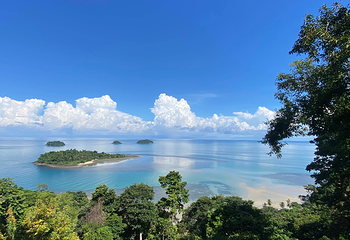 象岛第 65 张图片