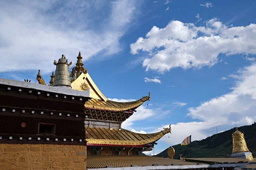 灵雀寺第 1 张图片