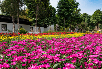 南宁市花卉公园第 1 张图片