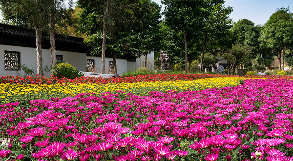 南宁市花卉公园
