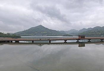 新蒲湿地公园第 49 张图片