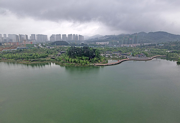 新蒲湿地公园第 42 张图片