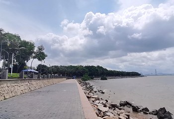 深圳湾公园第 20 张图片