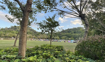 龙岗区大运公园第 3 张图片