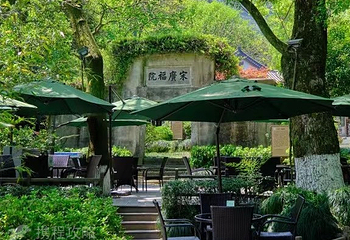 龙井问茶第 5 张图片