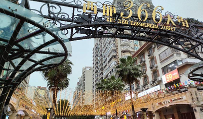 西丽366大街第 5 张图片