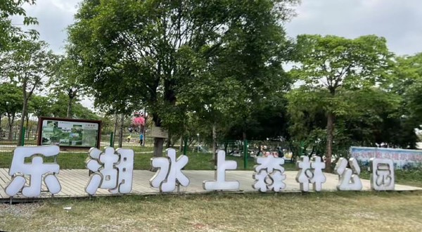 乐湖水上森林公园