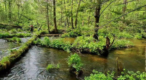长白山九溪秘境人参采挖园