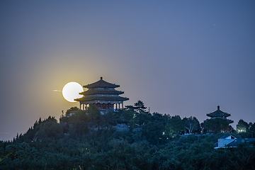 景山公园第 79 张图片