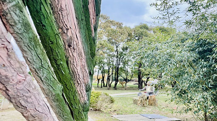 地心部落第 17 张图片