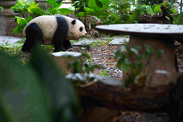 鼎福私家花园第 28 张图片