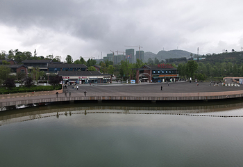 新蒲湿地公园第 30 张图片