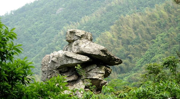 余姚市东岗山森林公园