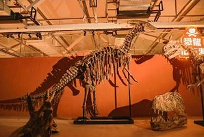 WX恐龙冒险乐园（盐城宝龙广场店）