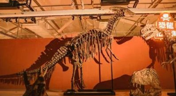 WX恐龙冒险乐园（盐城宝龙广场店）