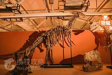 WX恐龙冒险乐园（盐城宝龙广场店）第 2 张图片